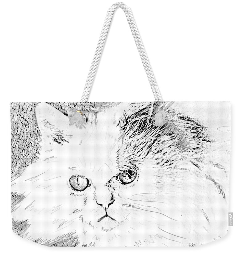 Cat Weekender Tote Bag featuring the drawing Crystal Our White Cat by Mackenzie Moulton