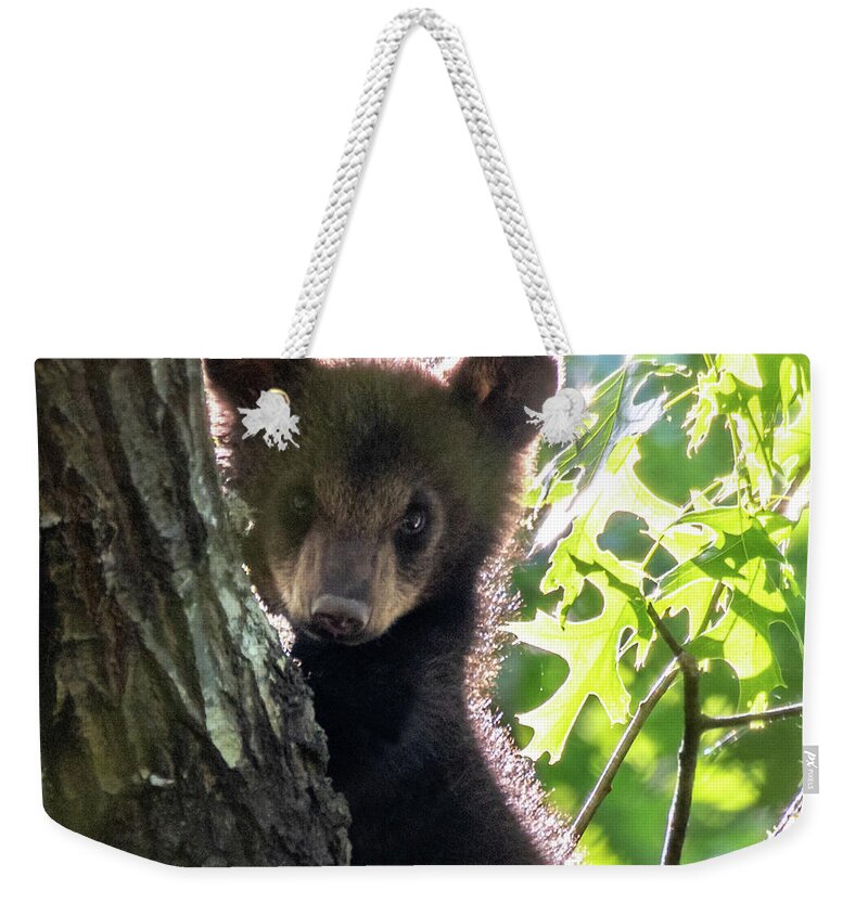 Bear Cub Weekender Tote Bag featuring the photograph Cubbie by Marcy Wielfaert