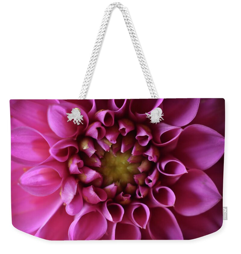 Flower Weekender Tote Bag featuring the photograph Curled Up by Michelle Wermuth