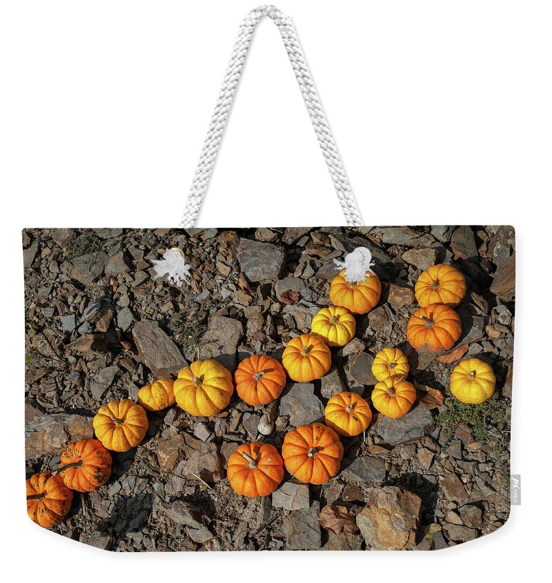 Jenny Rainbow Fine Art Photography Weekender Tote Bag featuring the photograph Curved Line of Yellow and Orange Pumpkins Munchkin by Jenny Rainbow