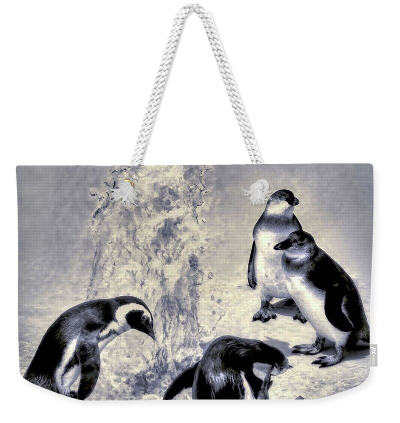 Penguins Weekender Tote Bag featuring the photograph Cute Penguins by Pennie McCracken