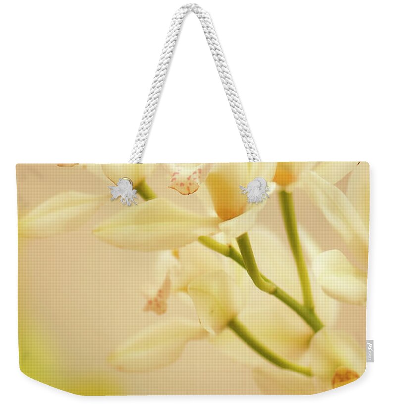 Rockville Weekender Tote Bag featuring the photograph Cymbidium Orchid In Bloom by Maria Mosolova