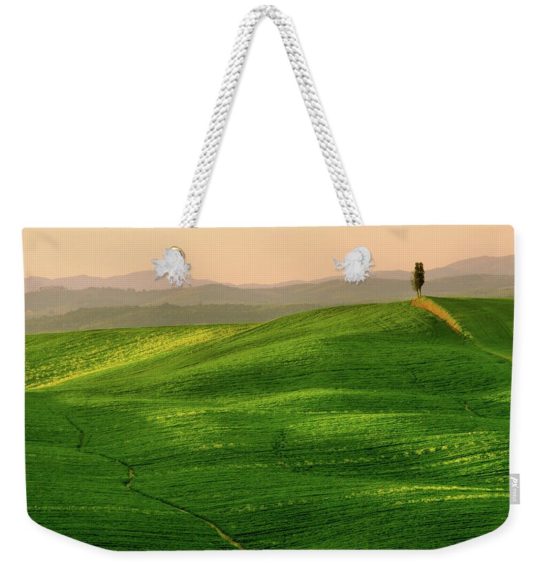 Tranquility Weekender Tote Bag featuring the photograph Cypress by Michele Berti