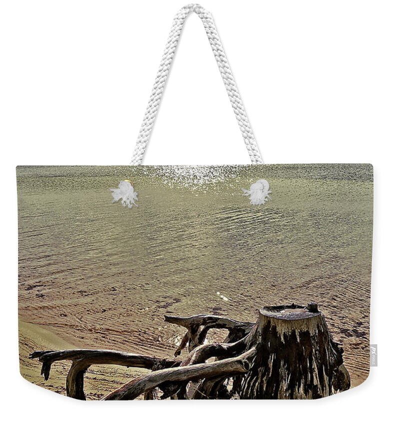 Debris Weekender Tote Bag featuring the photograph Cypress on the Beach by Maggy Marsh