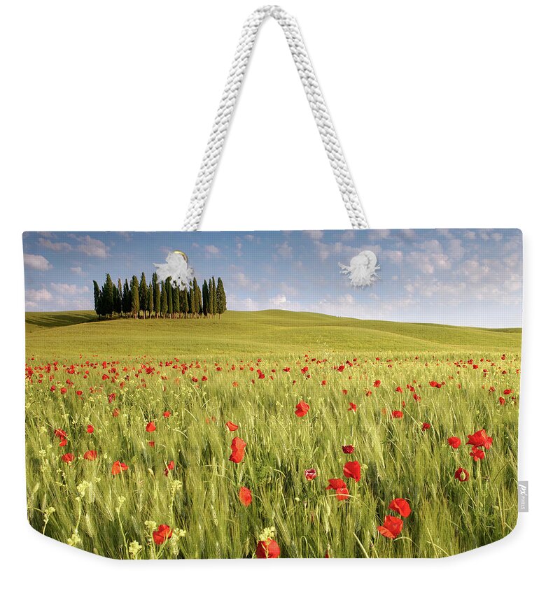 Outdoors Weekender Tote Bag featuring the photograph Cypresses In Wheat Field With Poppies by Michele Berti