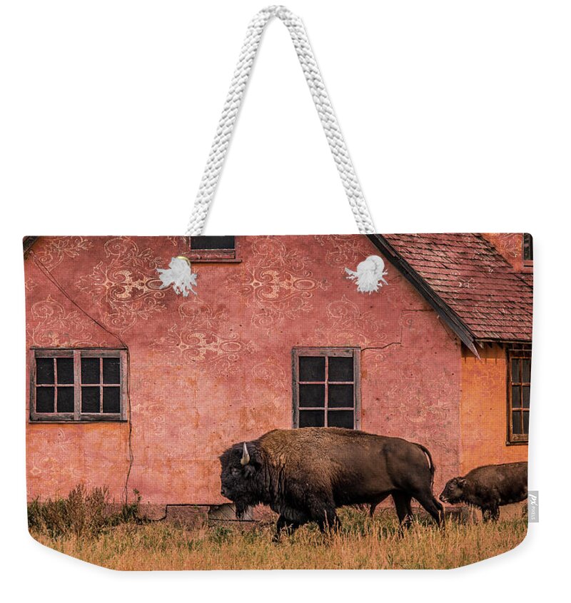 Bison Weekender Tote Bag featuring the photograph Daddy's Home by Mary Hone
