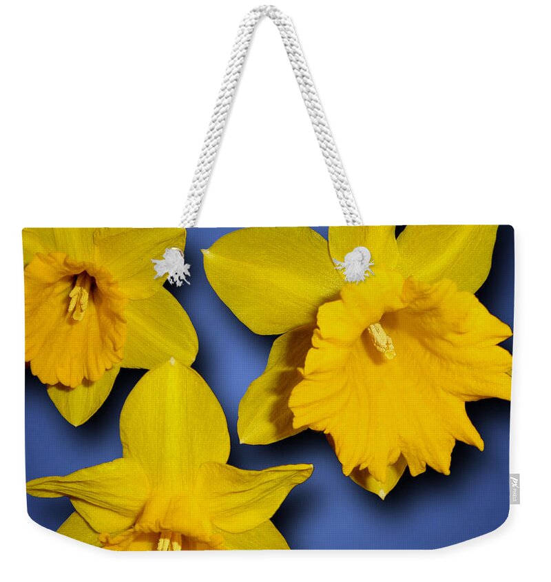 Daffodils Weekender Tote Bag featuring the photograph Daffodil Trio by Tara Hutton