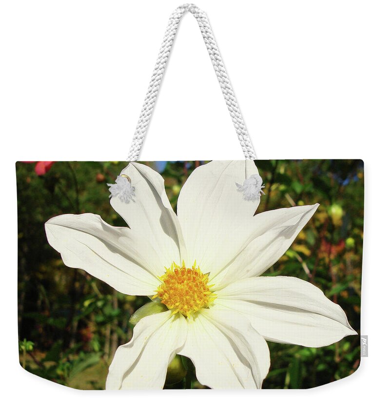 Dahlia Weekender Tote Bag featuring the photograph Dahlia 17 by Amy E Fraser
