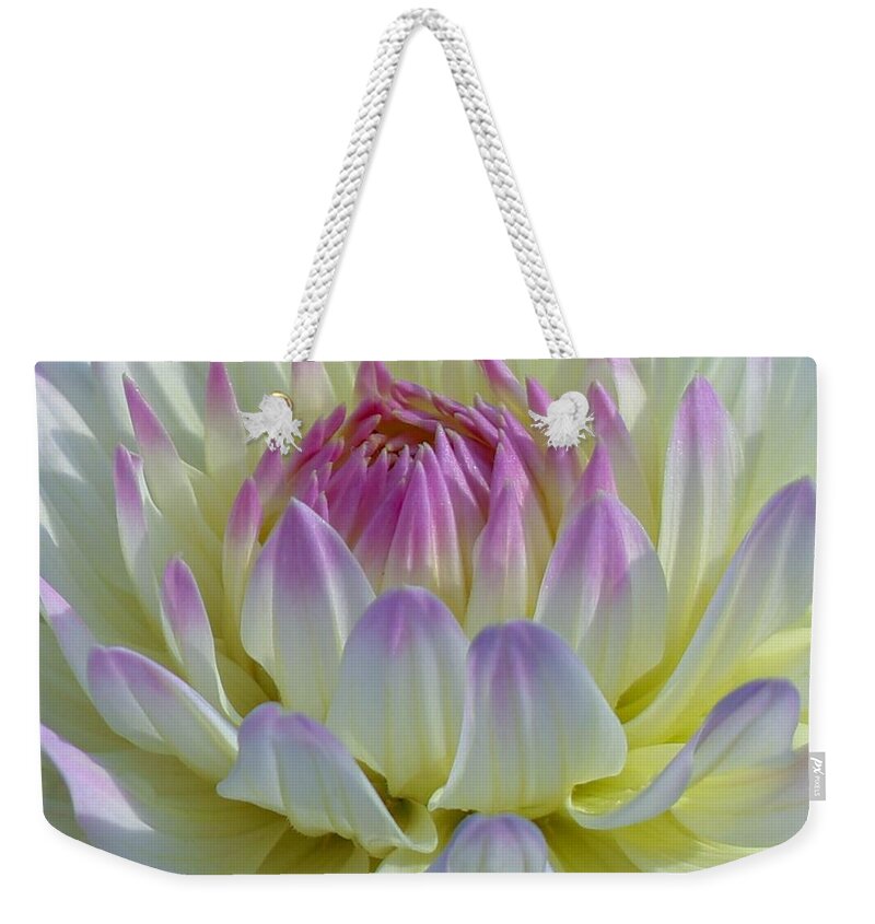 Dahlia Weekender Tote Bag featuring the photograph Dahlia Delight by Susan Rydberg
