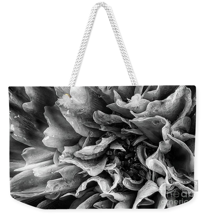 Flower Weekender Tote Bag featuring the photograph Dahlia flower in black and white macro by Simon Bratt