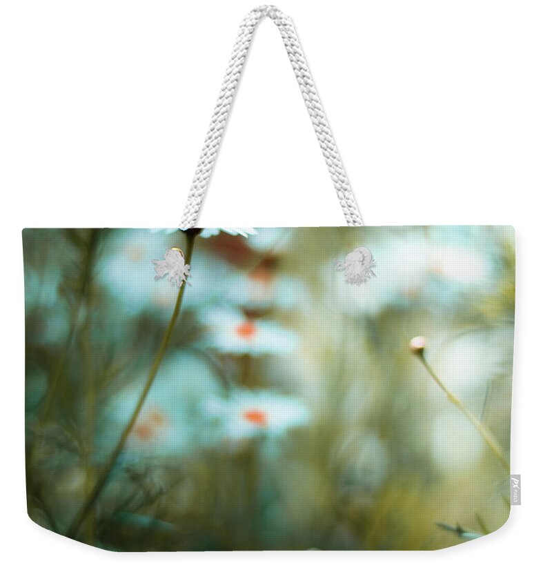 Petal Weekender Tote Bag featuring the photograph Daisies by (c) Harold Lloyd