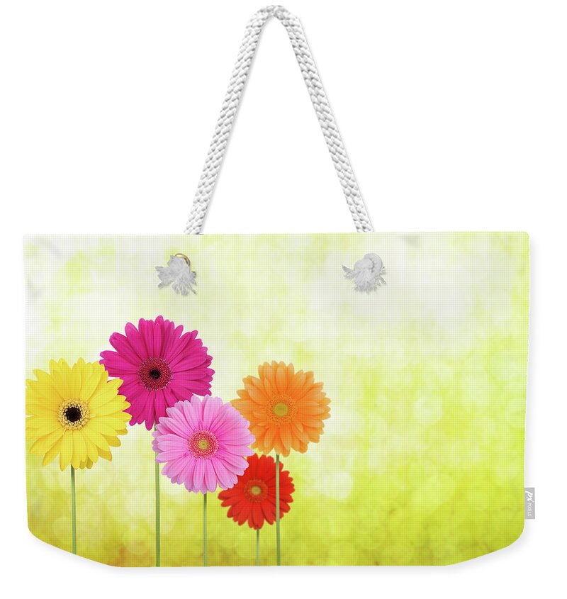 Easter Weekender Tote Bag featuring the photograph Daisies On A Spring Green Background by Liliboas