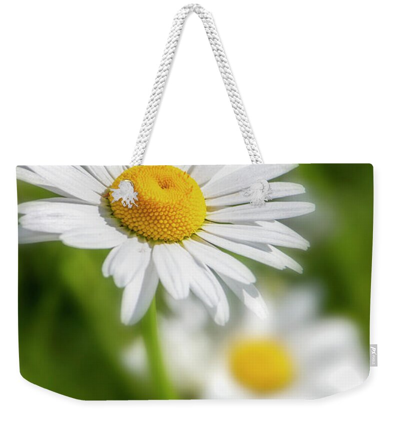 Flower Weekender Tote Bag featuring the photograph Daisy Dreams by TL Wilson Photography by Teresa Wilson