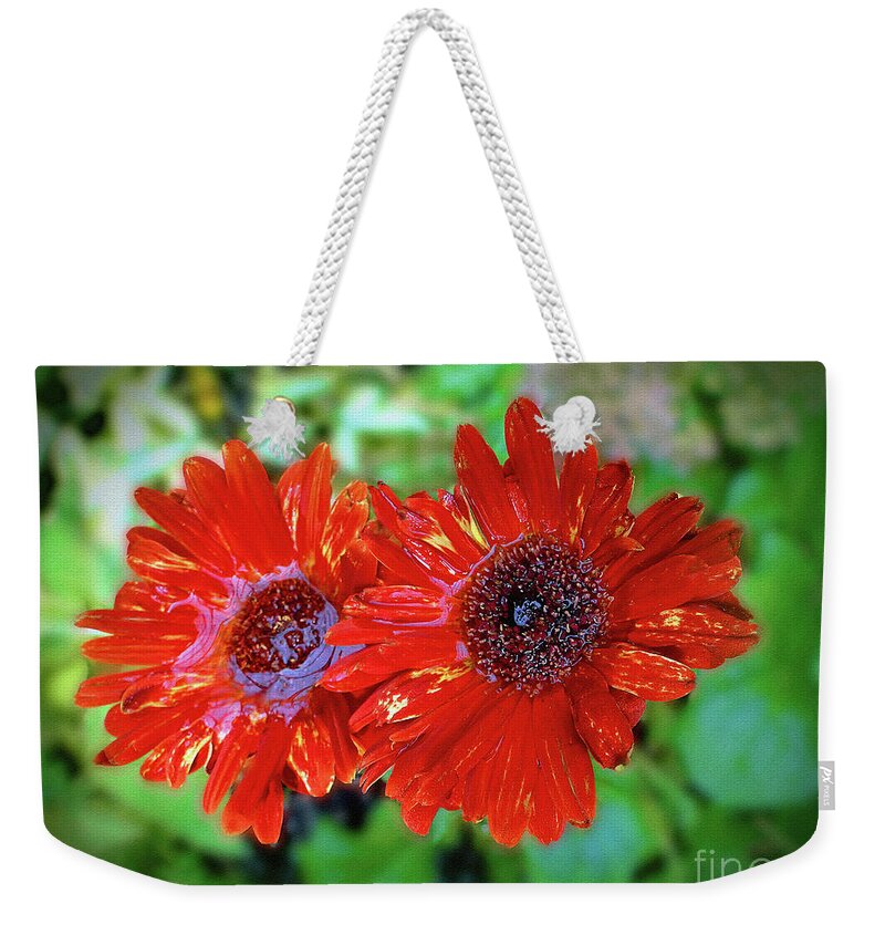 Daisy Weekender Tote Bag featuring the photograph Daisy Duet by Sue Melvin