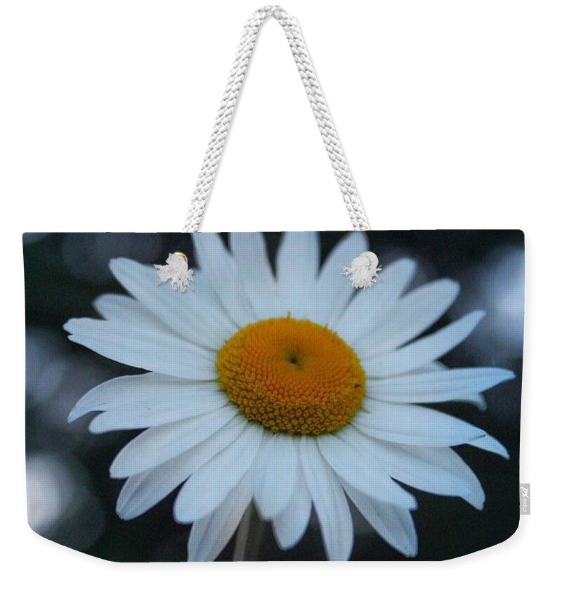 Flower Weekender Tote Bag featuring the photograph Daisy by Noah Mahlon