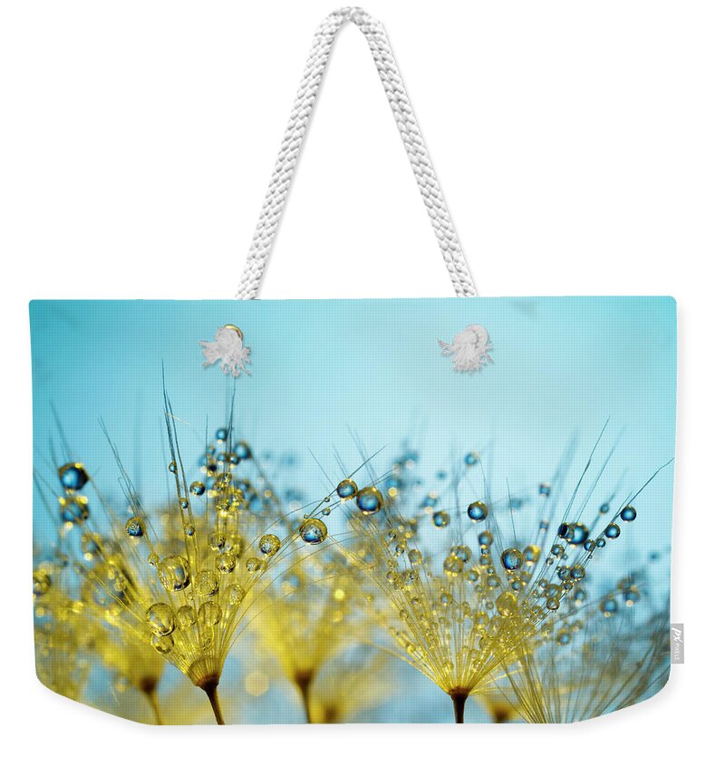 Yellow Weekender Tote Bag featuring the photograph Dandelion And Dew - Gold Abstract Macro by Thomasvogel