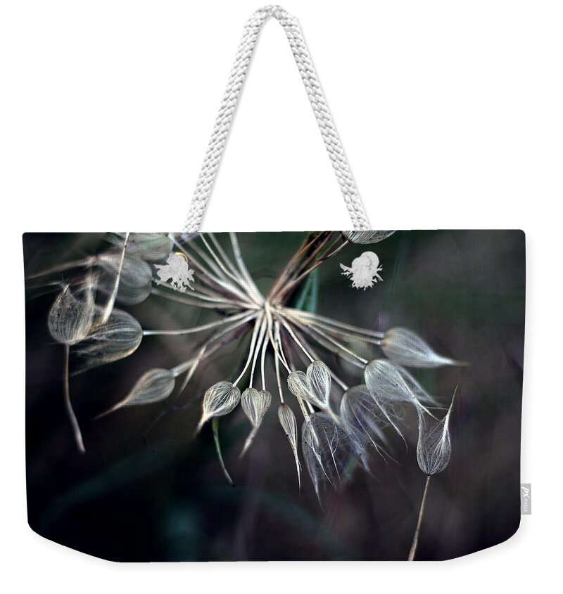 Bulgaria Weekender Tote Bag featuring the photograph Dandelion by By Julie Mcinnes
