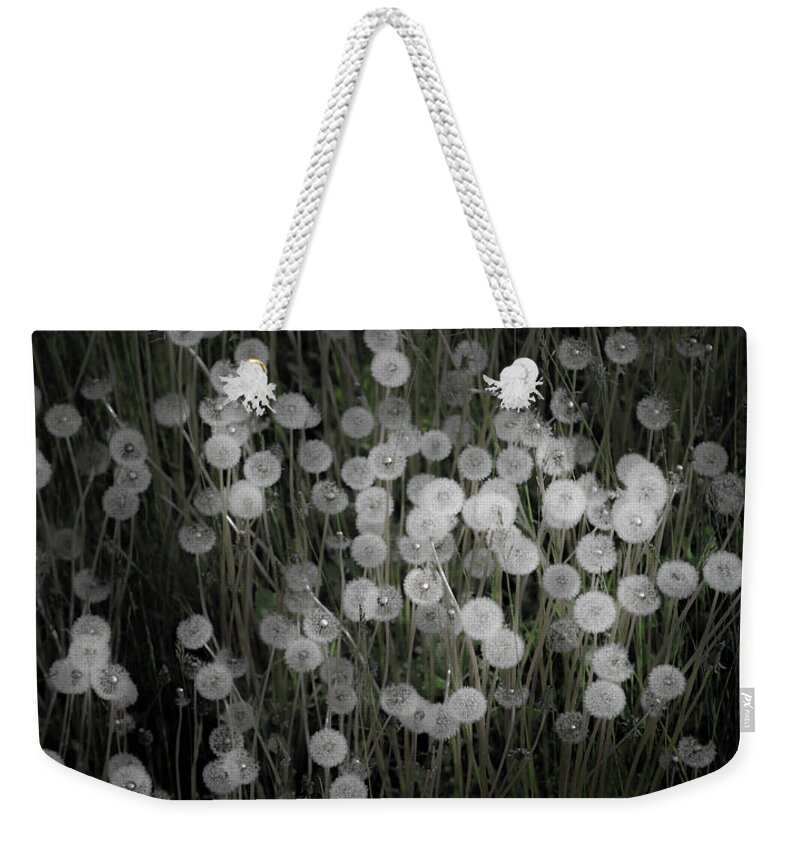 National Park Weekender Tote Bag featuring the photograph Dandelion Dots by Steven Keys