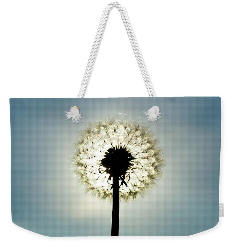 Outdoors Weekender Tote Bag featuring the photograph Dandelion In Sun by Photographer Mikael Nyberg