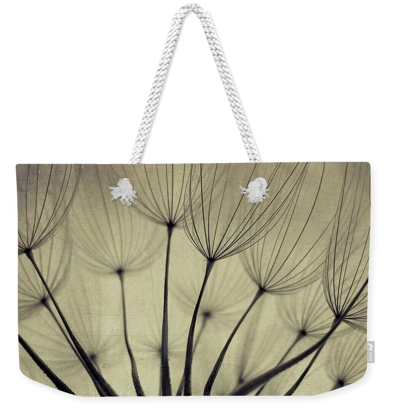 Bulgaria Weekender Tote Bag featuring the photograph Dandelion Seeds, Close Up by By Julie Mcinnes