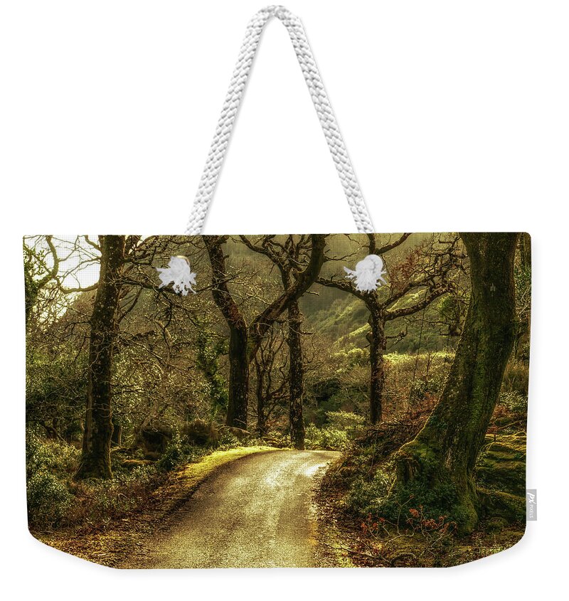 Forest Weekender Tote Bag featuring the photograph Dark Forest by Arthur Oleary