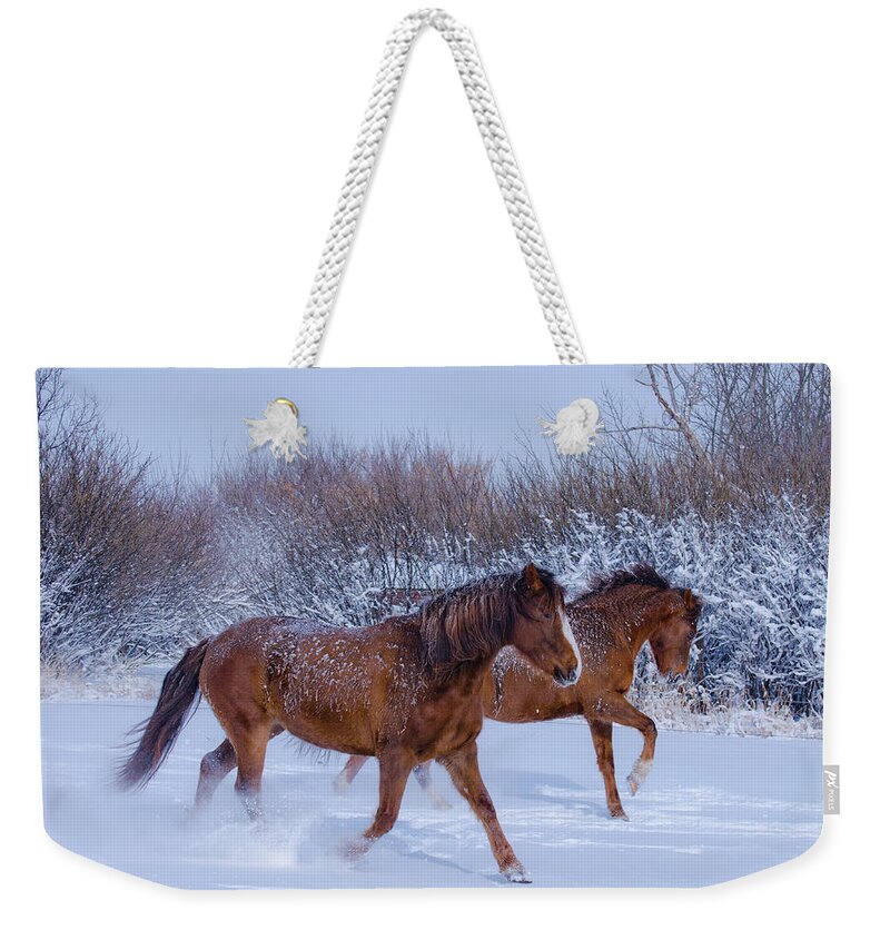 Horse Weekender Tote Bag featuring the photograph Dashing Through The Snow by C-dals (sue Fockner)