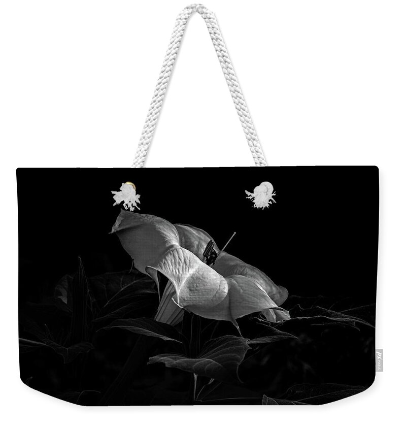 Datura Weekender Tote Bag featuring the photograph Datura and bee in black and white by Alessandra RC
