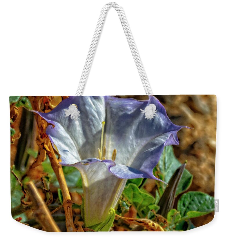 Datura Weekender Tote Bag featuring the photograph Datura Gimson Weed by Sandra Selle Rodriguez