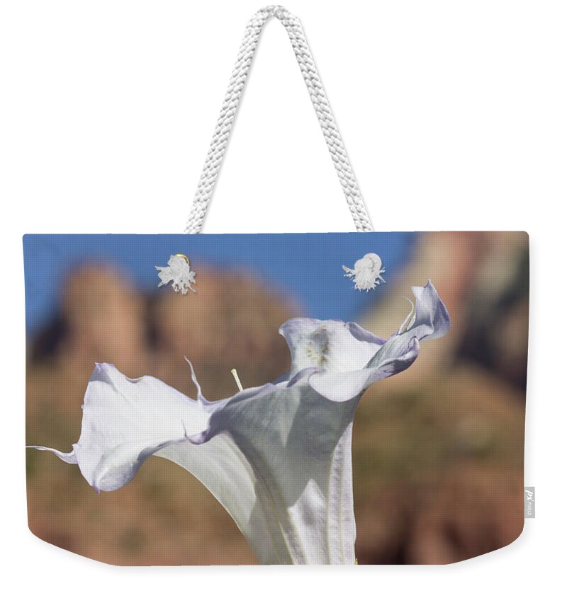 Datura Weekender Tote Bag featuring the photograph Datura in Zion by Jonathan Thompson