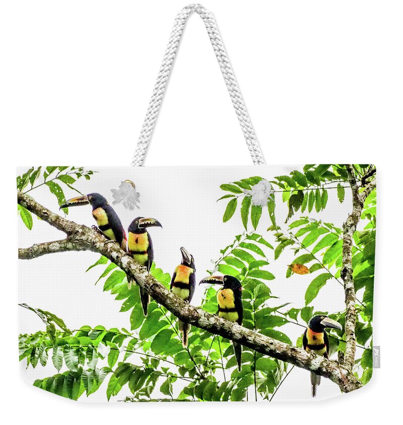 0096 Weekender Tote Bag featuring the photograph Dawn Patrol by Tom and Pat Cory