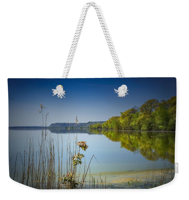 Trees Weekender Tote Bag featuring the photograph Day dreaming on the shore by Phil S Addis