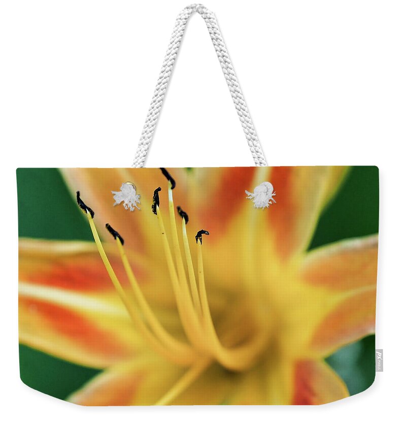 Lily Weekender Tote Bag featuring the photograph Day Lily by Jerry Connally