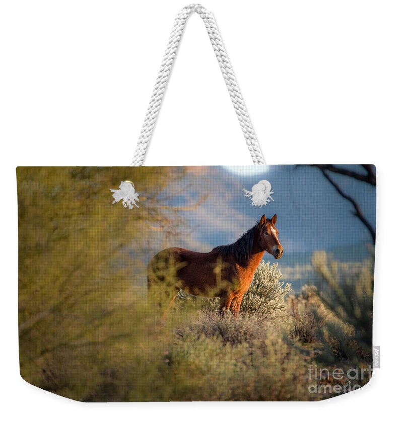 Mustang Weekender Tote Bag featuring the photograph Day's End at the River by Lisa Manifold