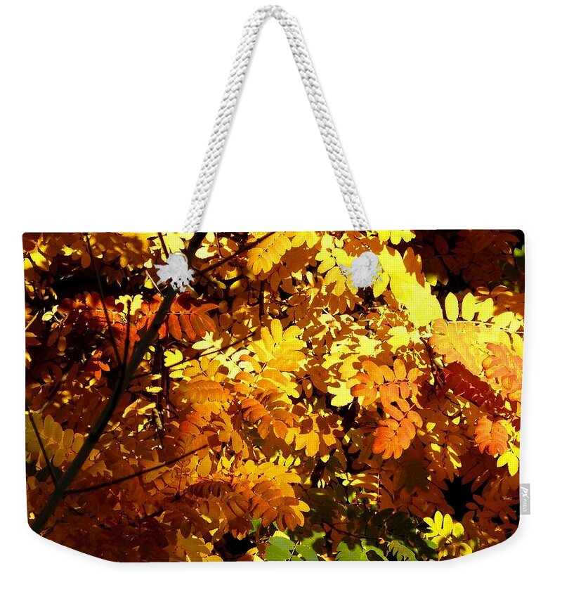 Mountain Ash Weekender Tote Bag featuring the digital art Days Of Autumn 12 by Will Borden