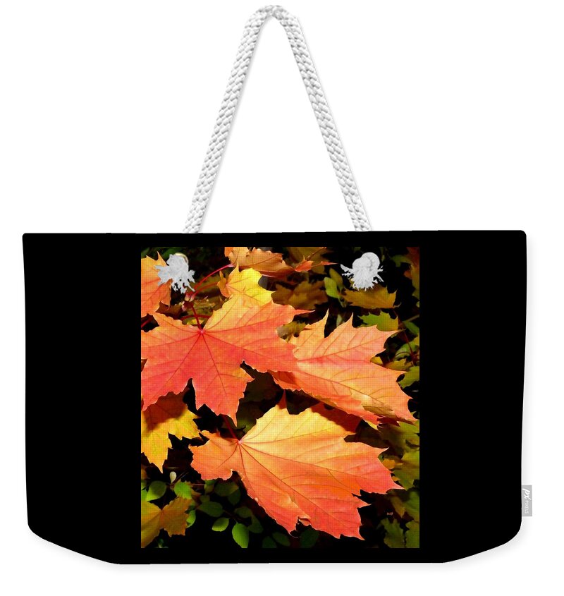 Maple Weekender Tote Bag featuring the digital art Days Of Autumn 21 by Will Borden