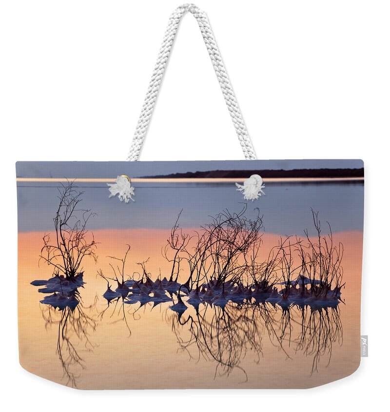 Scenics Weekender Tote Bag featuring the photograph Dead Sea - Salt Clusters On Dry Bush by Eldadcarin