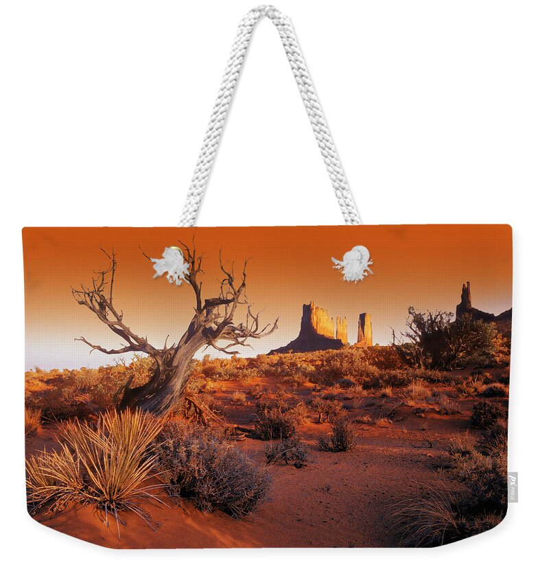 Scenics Weekender Tote Bag featuring the photograph Dead Tree In Desert Monument Valley by Design Pics/don Hammond