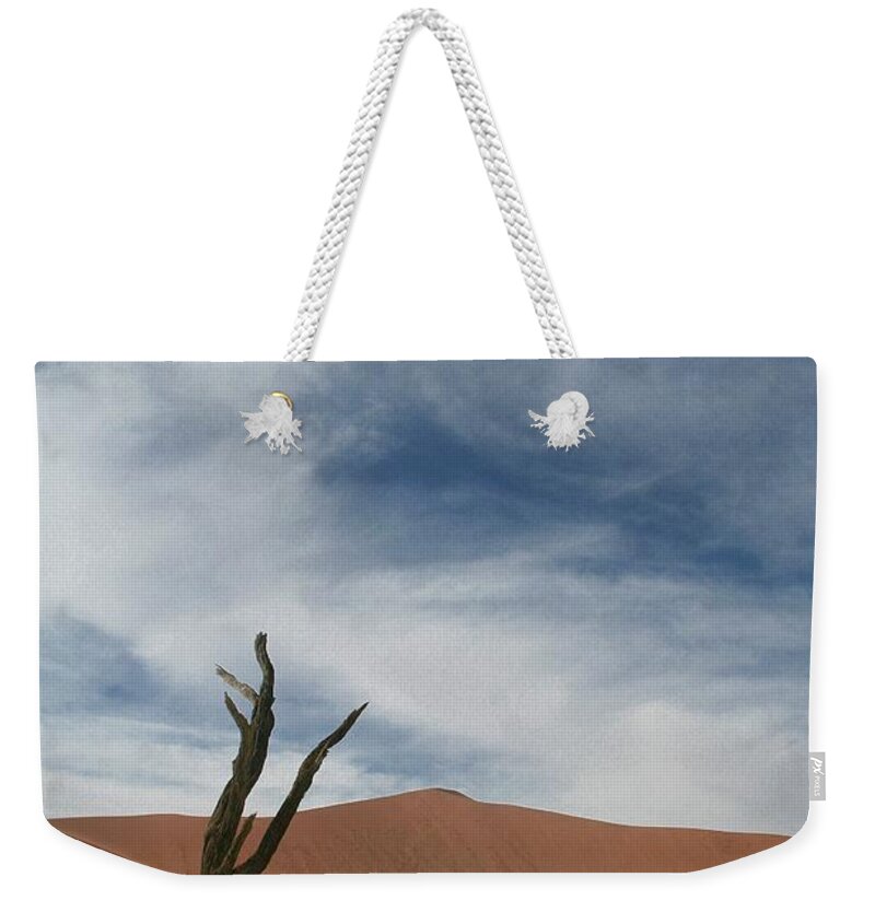 Scenics Weekender Tote Bag featuring the photograph Dead Tree In Sossusvlei by A Rey