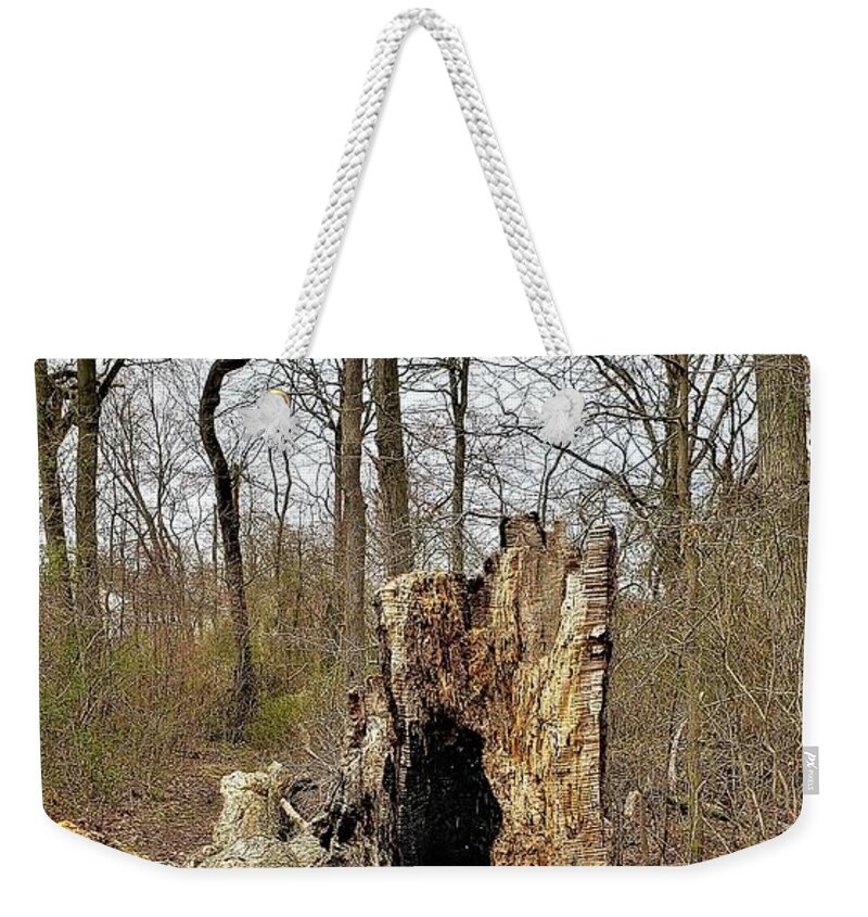 Trees Weekender Tote Bag featuring the photograph DEAD WOOD in LIVING COLOR by Rob Hans