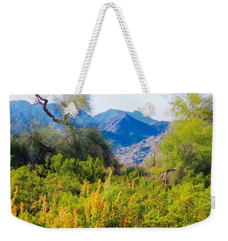Arizona Weekender Tote Bag featuring the photograph Deep Desert Valley in a Sonoran Desert Spring by Judy Kennedy