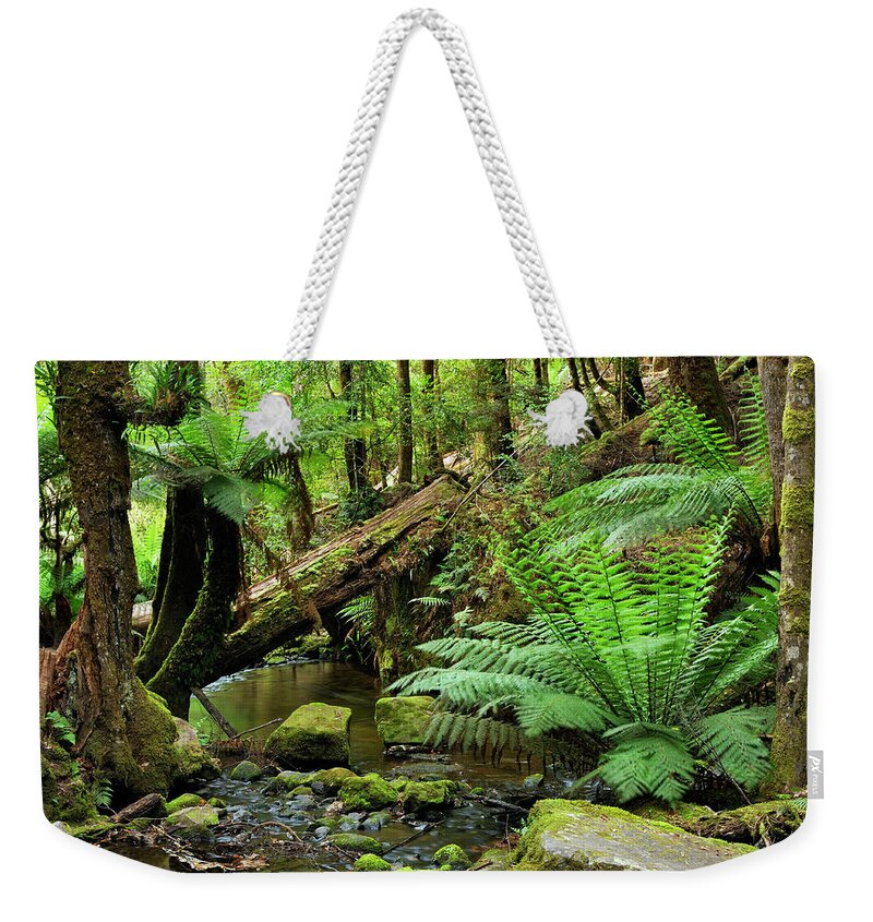 Scenics Weekender Tote Bag featuring the photograph Deep In The Rainforest With Ferns And by Keiichihiki