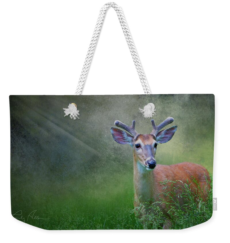 Buck Weekender Tote Bag featuring the photograph Deer in Velvet by Randall Allen