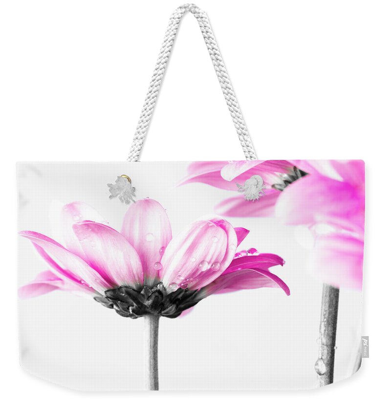 Pink Weekender Tote Bag featuring the photograph Delicate by Tanya C Smith