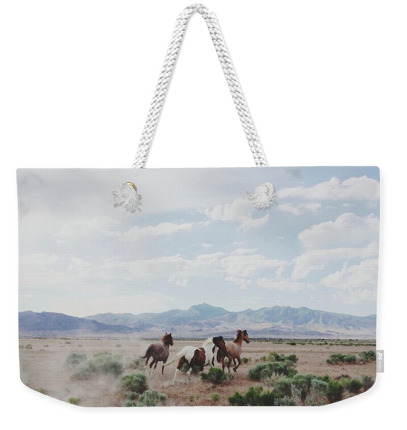 Horse Weekender Tote Bag featuring the photograph Delta Horses by Kevin Russ