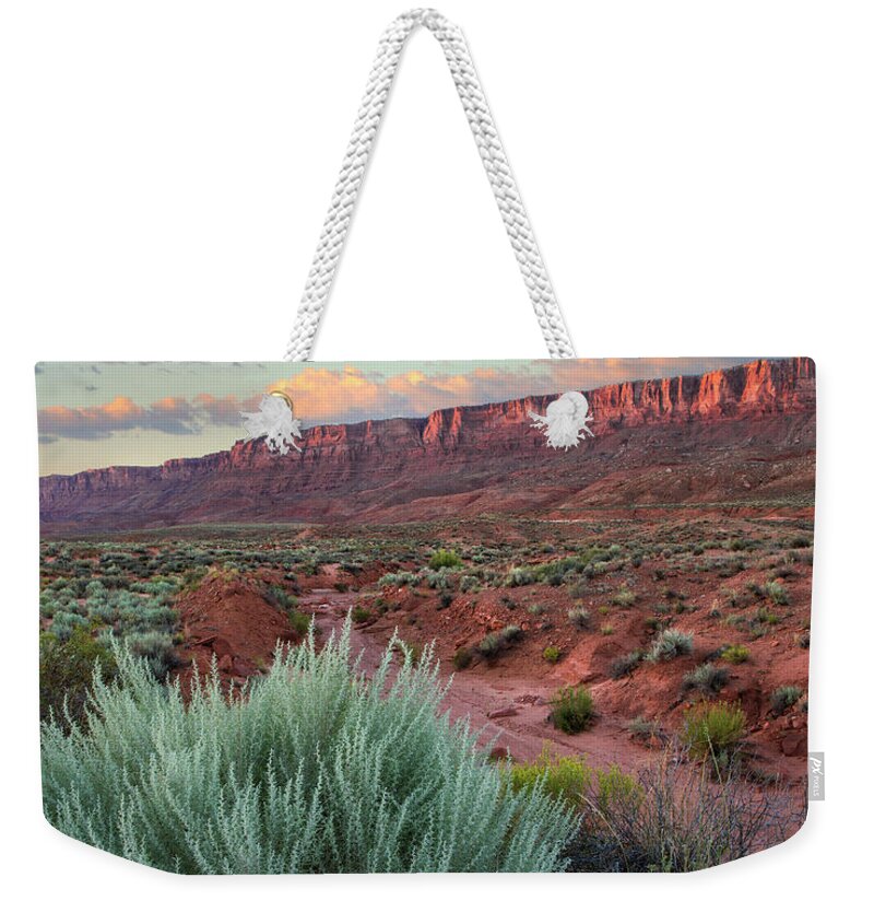 00574878 Weekender Tote Bag featuring the Desert And Cliffs, Vermilion Cliffs Nm, Arizona by Tim Fitzharris