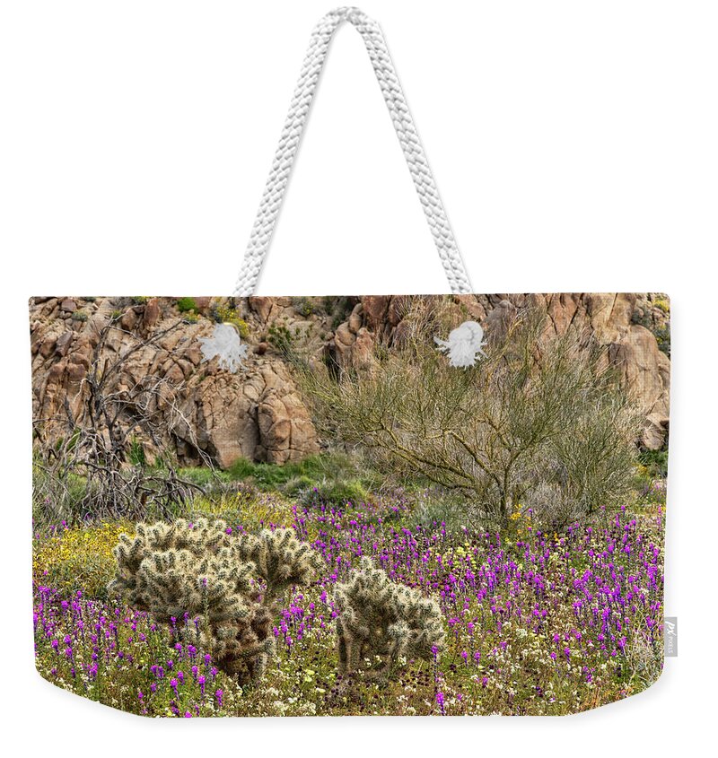 Desert Weekender Tote Bag featuring the photograph Desert Bloom by Dan McGeorge