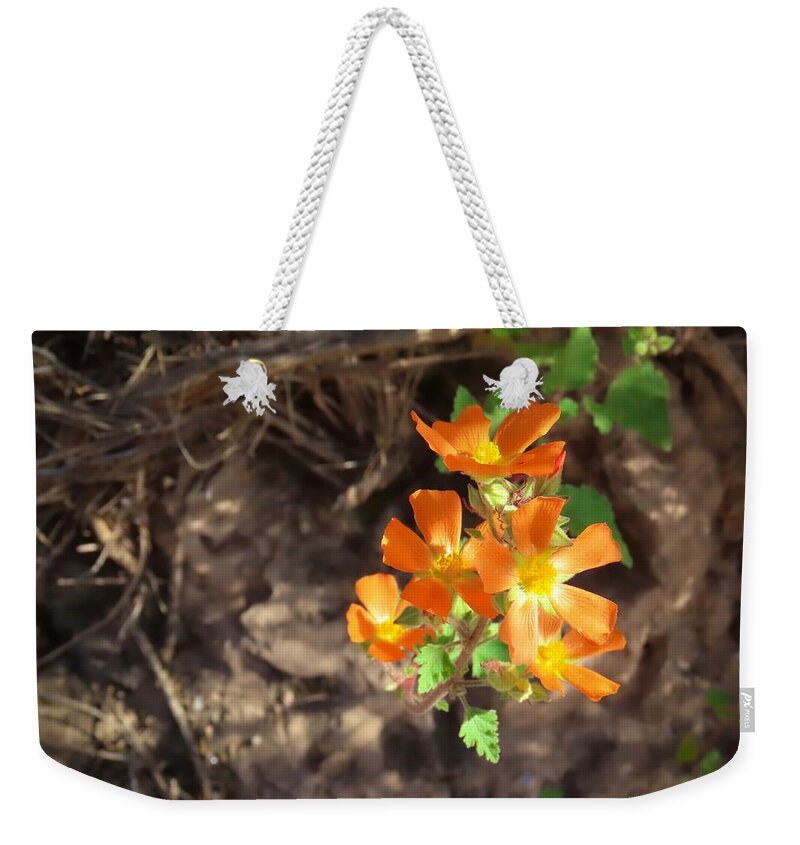 Arizona Weekender Tote Bag featuring the photograph Desert Globemallow Radiance by Judy Kennedy
