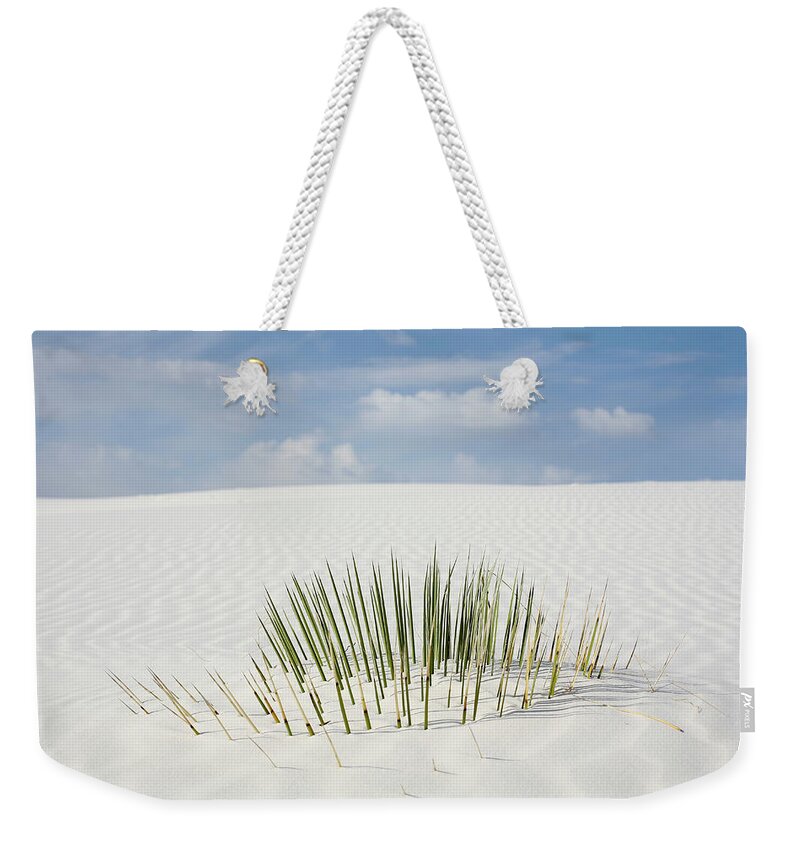 New Mexico Weekender Tote Bag featuring the photograph Desert Plant Buried Under White Sand by Village Production