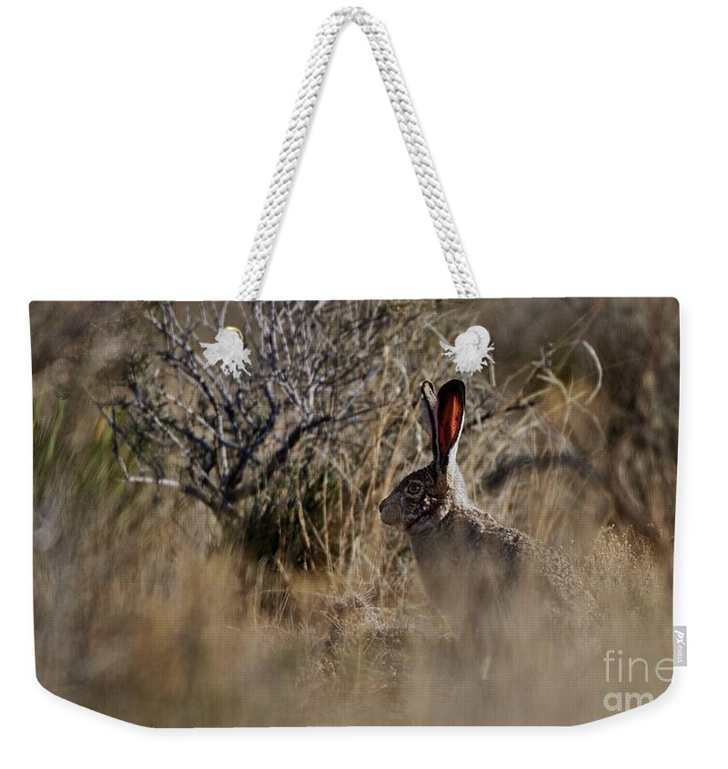 Desert Rabbit Weekender Tote Bag featuring the photograph Desert Rabbit by Robert WK Clark