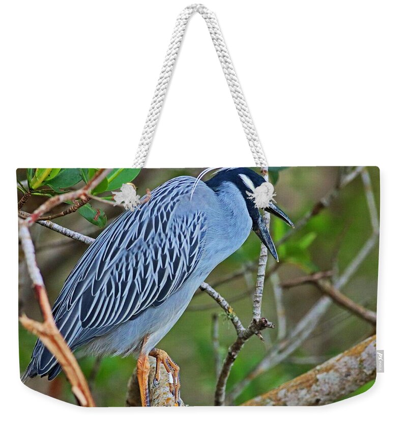 Yellow-crowned Night Heron Weekender Tote Bag featuring the photograph Despite the Look on My Face, You're Still Talking by Michiale Schneider
